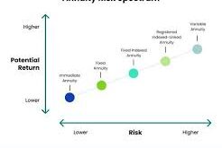 Low-Risk Annuity Investments