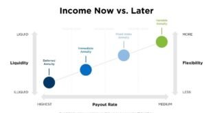 Lifetime Annuity Options