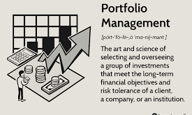 Investment Portfolio Management